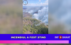 Incendiul a fost stins