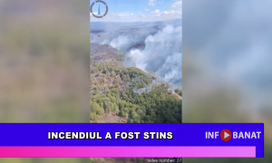 Incendiul a fost stins