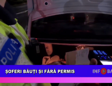 Șoferi băuți și fără permis