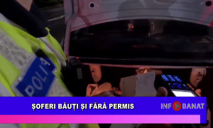 Șoferi băuți și fără permis