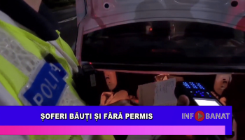 Șoferi băuți și fără permis