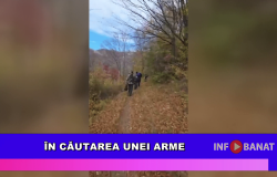 În căutarea unei arme