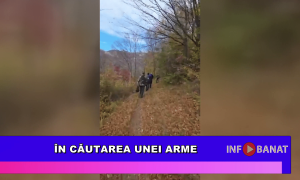 În căutarea unei arme