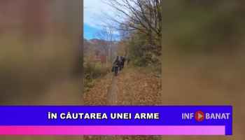 În căutarea unei arme