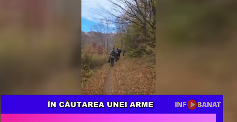 În căutarea unei arme