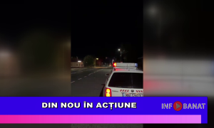 Din nou în acțiune