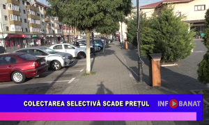 Colectarea selectivă scade prețul
