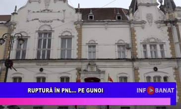Ruptură în PNL…    pe gunoi