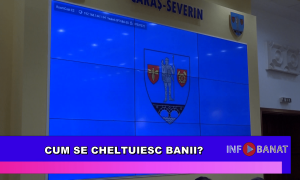 Cum se cheltuiesc banii?