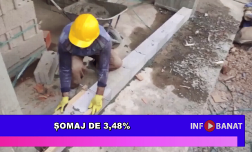 Șomaj de 3,48%