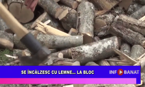 Se încălzesc cu lemne…   la bloc