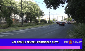 Noi reguli pentru permisele auto