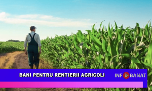 Bani pentru rentierii agricoli